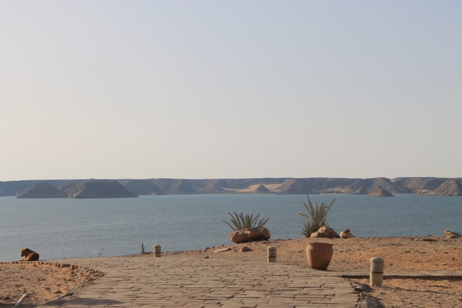 Photograph © Jess Carey 2014